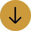 pointed-down.png pointed-down.png