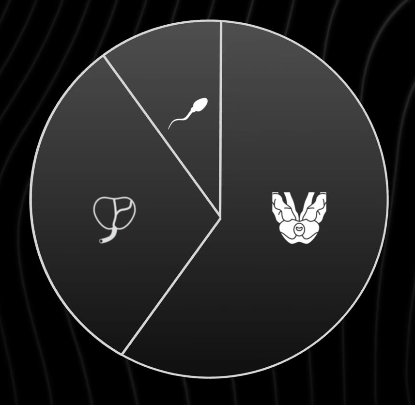 7 ways to increase semen volume